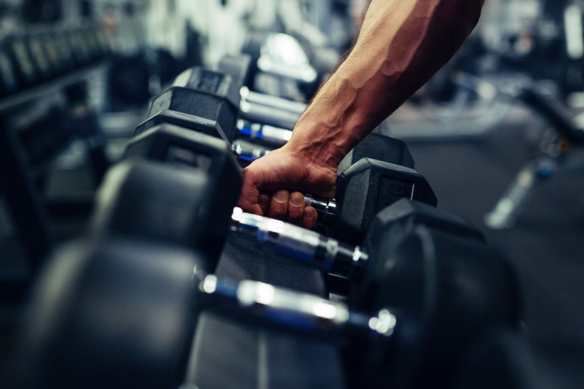 Musculation