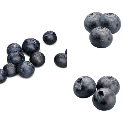 Creatine Goût Myrtille - Hover